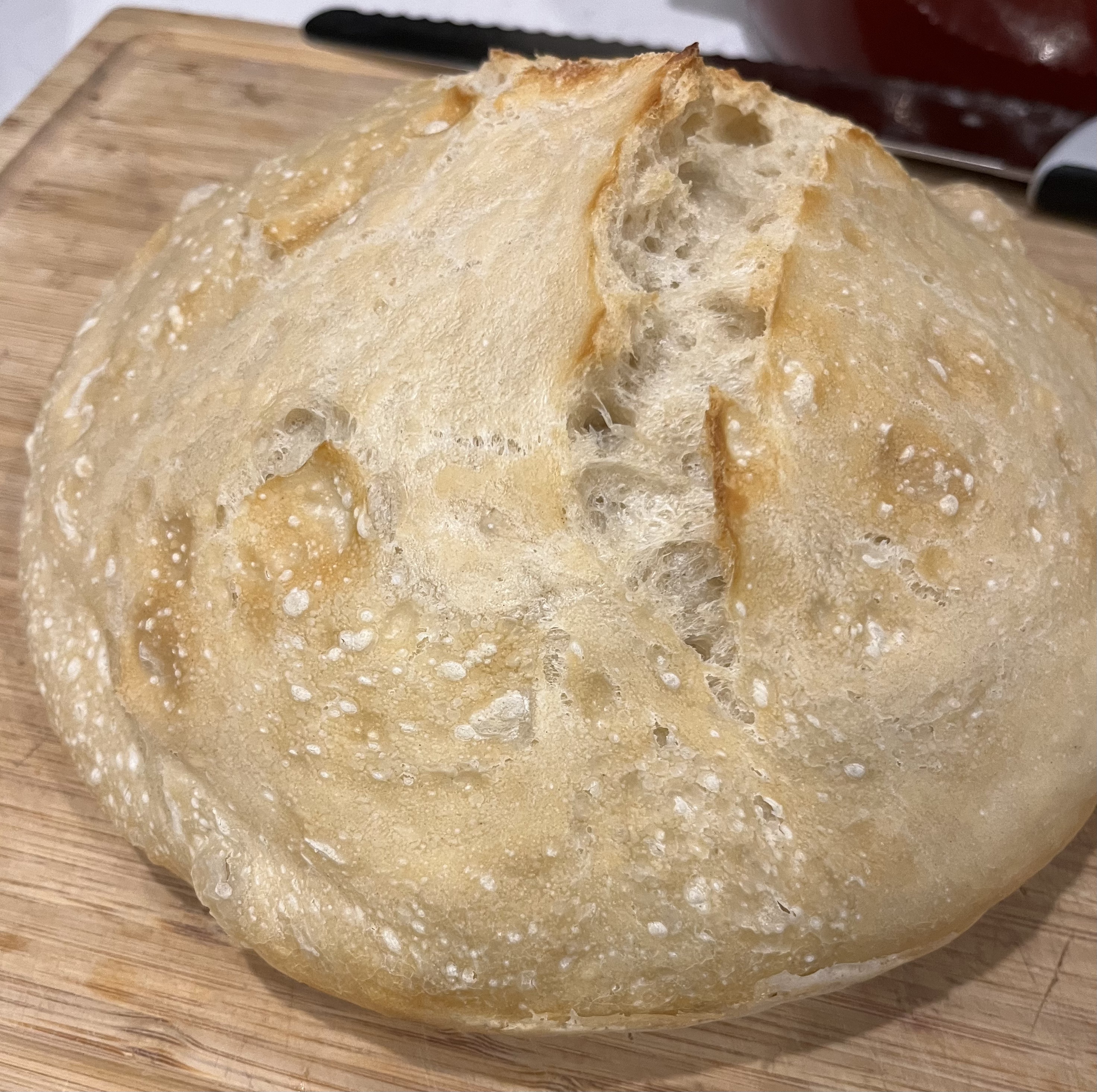 My First Adventure with No-Knead Bread: A Surprising Success Story